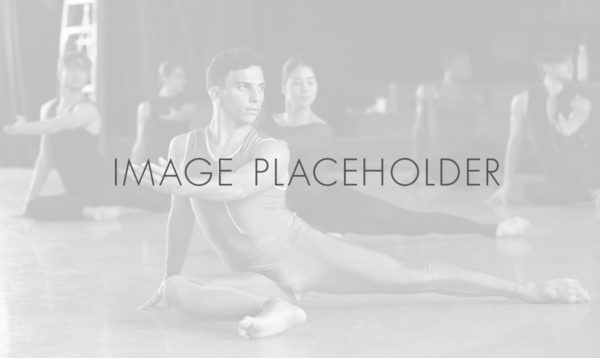 placeholder-wide Alt Text Placeholder Wide