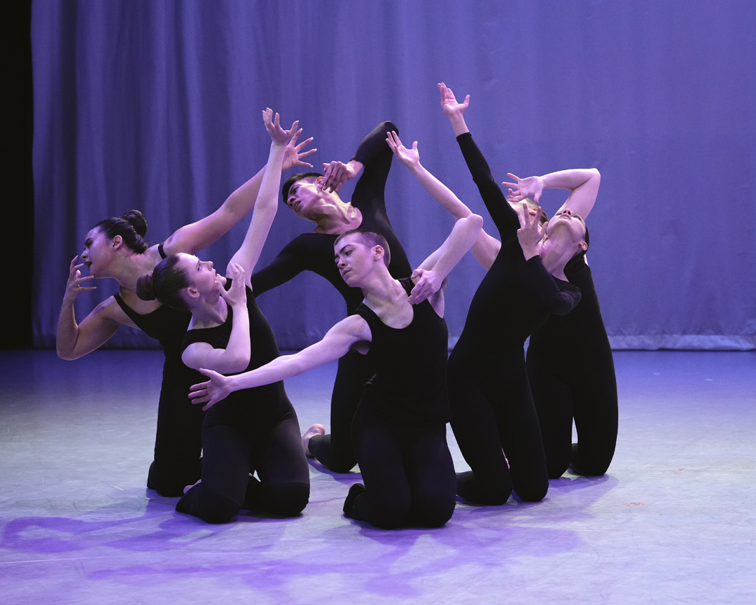 MGS_FALLSHOWING2025_NIGHTJOURNEY_BPOLLOCK-09