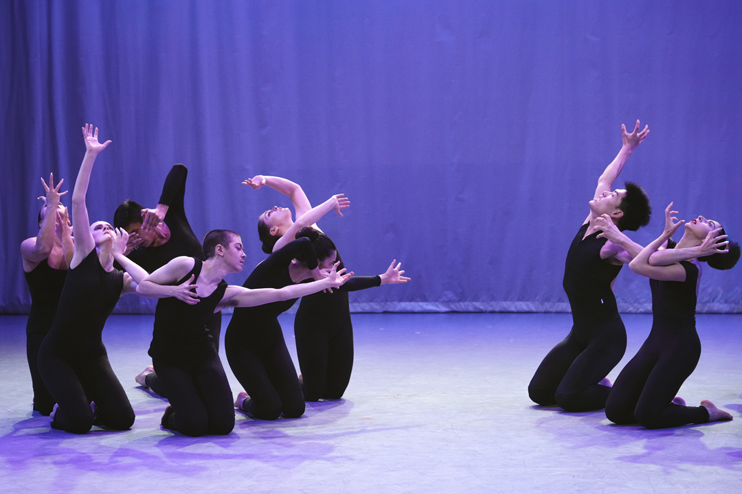 MGS_FALLSHOWING2025_NIGHTJOURNEY_BPOLLOCK-11